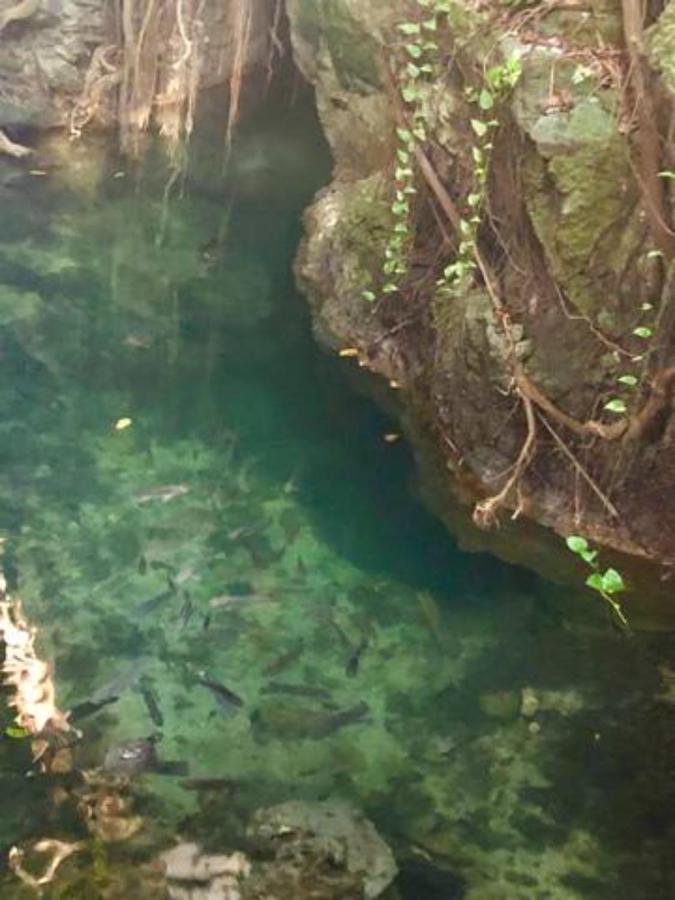 Sacbe Mayan Paradise *